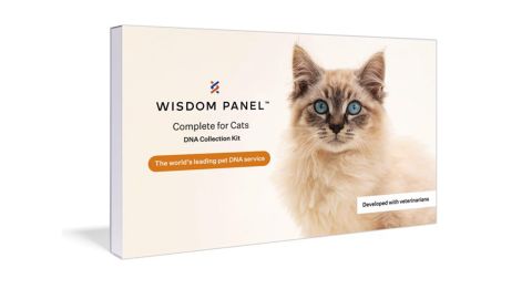 Wisdom Panel Complete Health and Ancestry Cat DNA Test