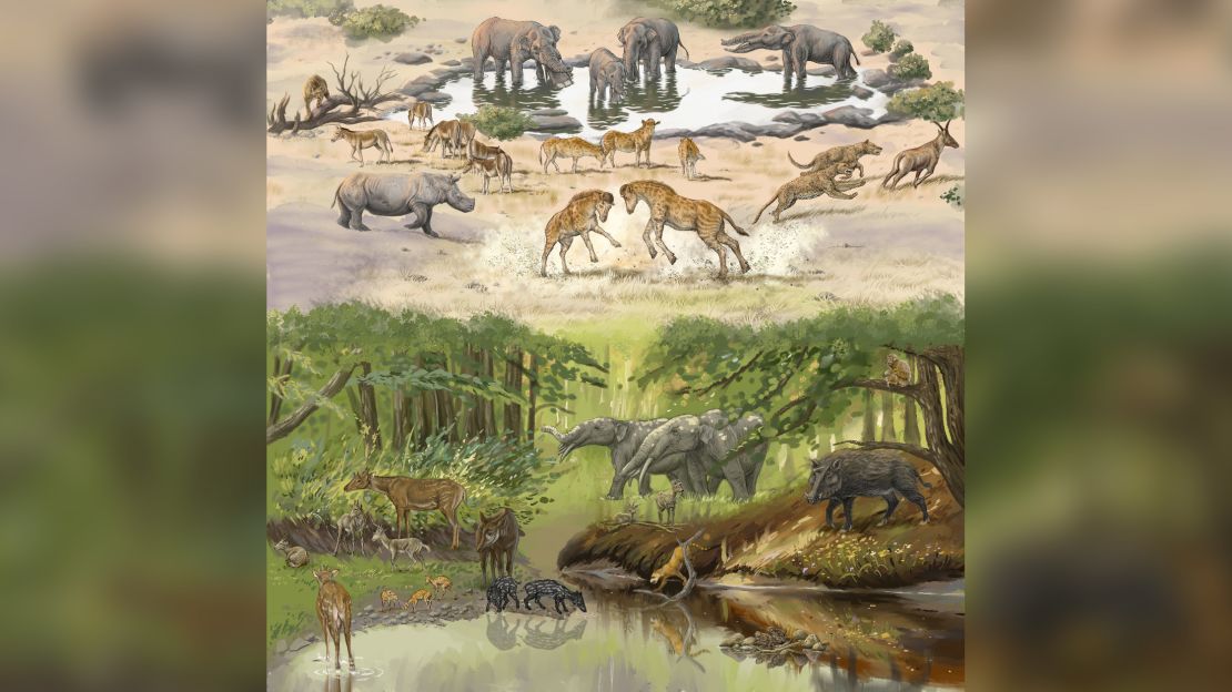 This illustration shows the diversity of animals living in China's Junggar Basin 17 million years ago.