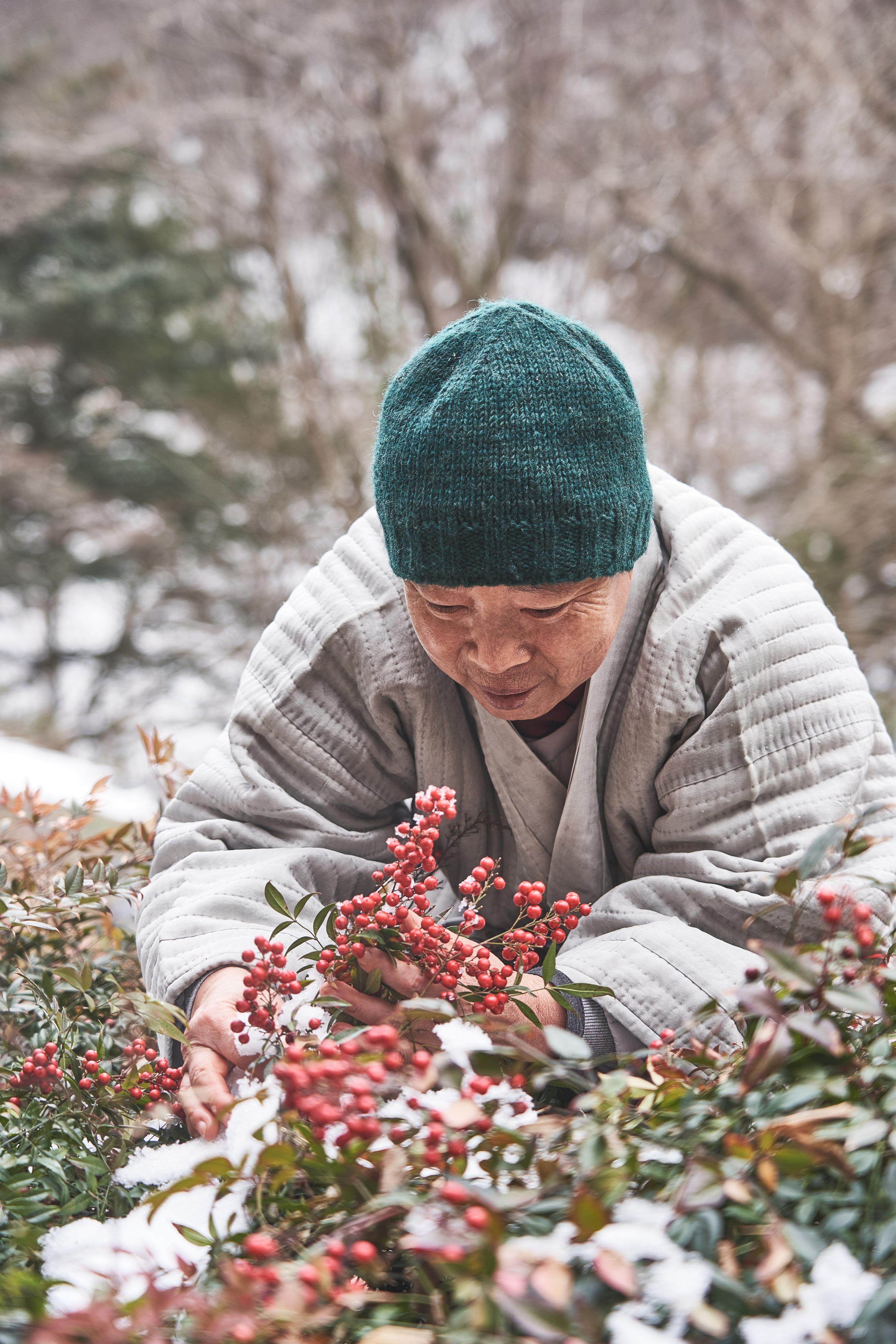 <strong>Jeong Kwan's 'happy place': </strong>Jeong Kwan and fellow nuns and monks tend the garden daily. It's one of her favorite places in the temple.