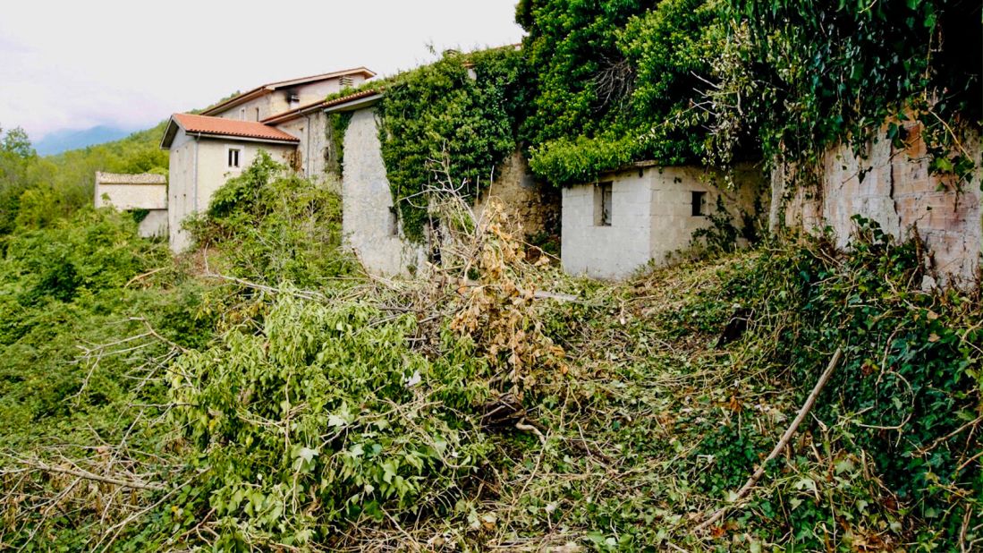 <strong>Rural ruin:</strong> Going back to his ancestral hometown, Di Ciacca found it crumbling and covered in untamed vegetation.