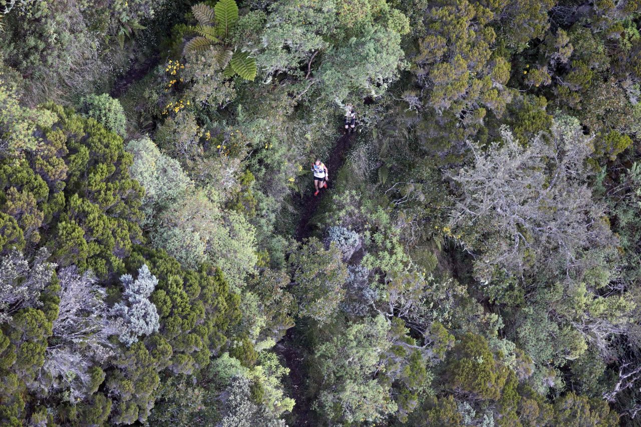 <strong>La Reunion island: </strong>More dense forest awaits runners (such as this competitor in 2019) in the Grand Raid de la Reunion ultramarathon race, on the island of La Reunion in the Indian Ocean.