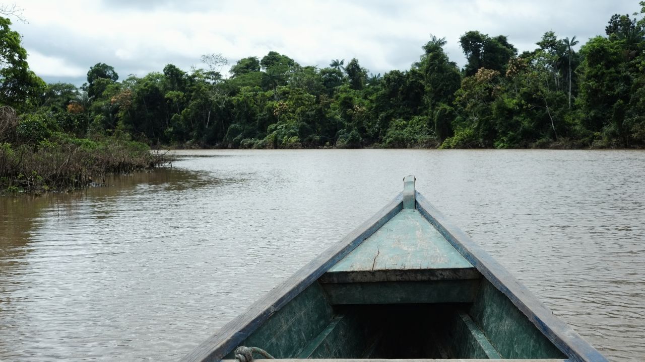 File photograph of Javari Valley, Amazon, Brazil from February 15, 2016