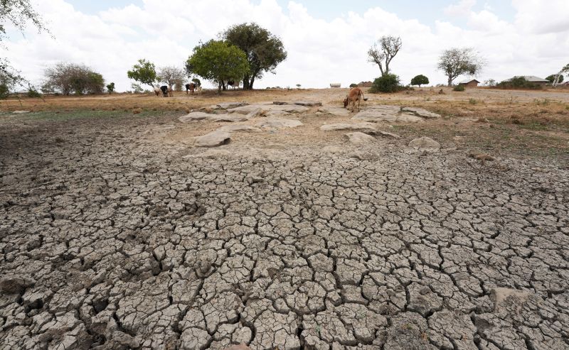 Climate Crisis Costs Up Over 800% As UN Donor Nations Fail To Keep Pace ...