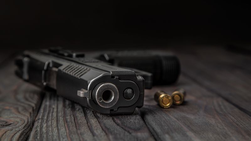 NextImg:Most states get an 'F' on gun laws this year in new analysis by advocacy group | CNN Politics