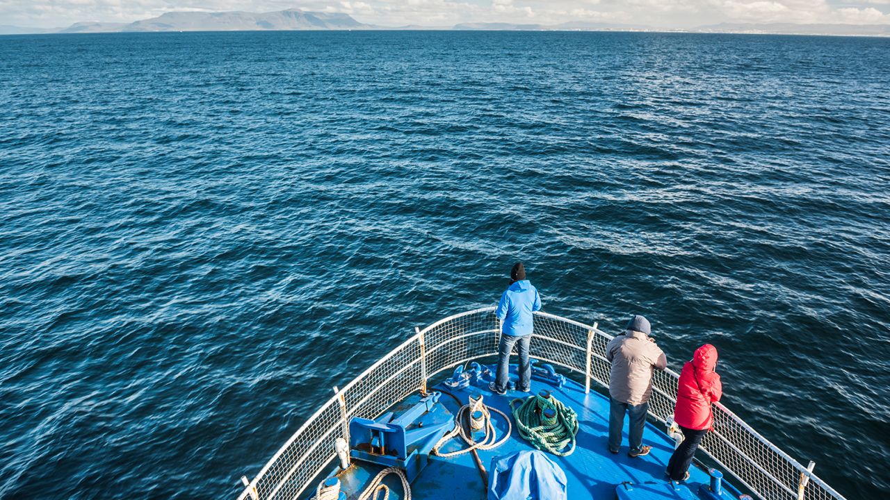 Whale watching is a popular tourist activity in Iceland. 