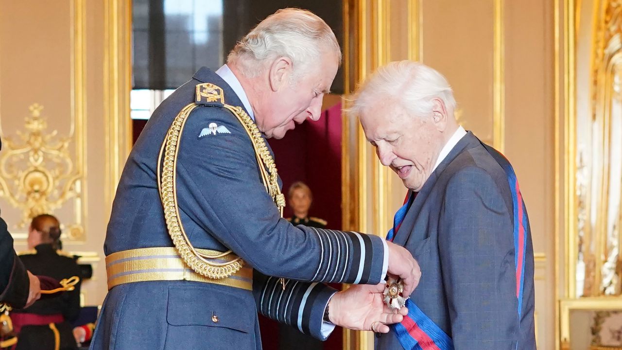 Prince Charles makes David Attenborough a Knight Grand Cross of the Order of St. Michael and St. George in a ceremony at Windsor Castle on June 8, 2022. 