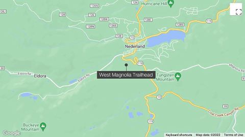 The female moose charged two people and their dog near the West Magnolia Trailhead in Colorado on Wednesday morning.