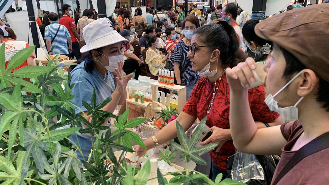 People drink tea containing cannabis leaves at the "Ganja and Thai Traditional Medicine in the City" trade fair in Bangkok in 2021.