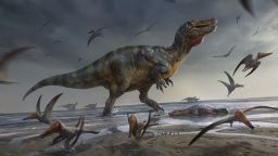  Illustration of White Rock spinosaurid by Anthony Hutchings