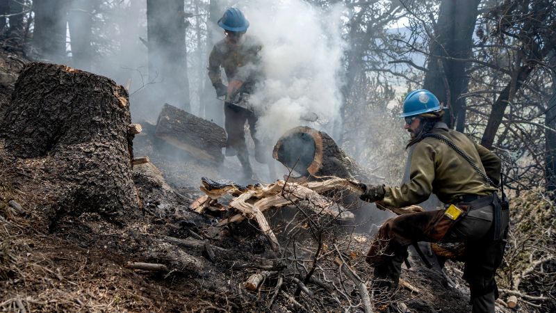 Black Fire becomes New Mexico’s 2nd largest fire in the state’s history