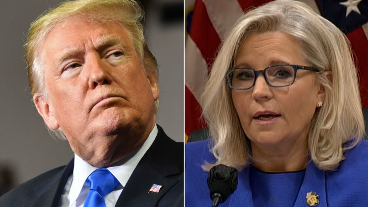 donald trump liz cheney split
