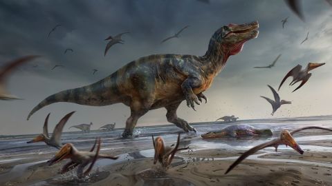На этой иллюстрации изображен устрашающий спинозаврид с острова Уайт, когда он ожил.