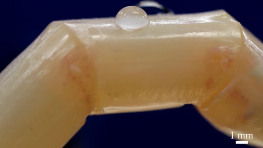 robot human skin tokyo