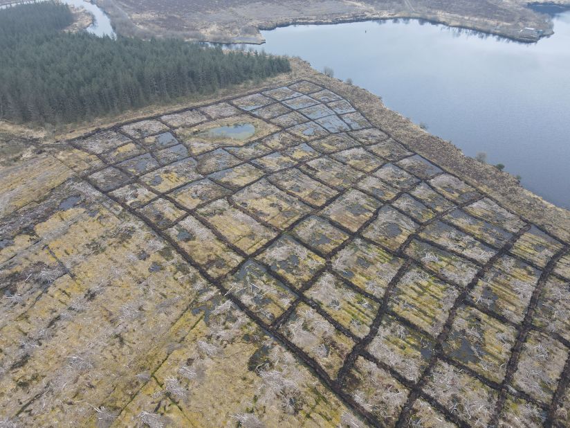Northern Ireland Water hopes that water running into the lake will be filtered through the restored peatland. "It's going to take a bit of time for the sphagnum mosses and everything to colonize, but the process is now underway," says Foster.