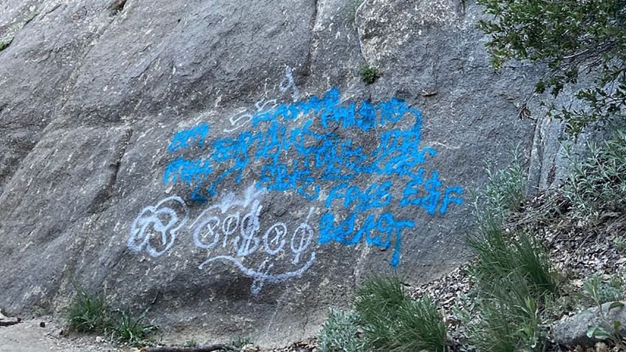 Some parts of the graffiti were as much as eight feet high.