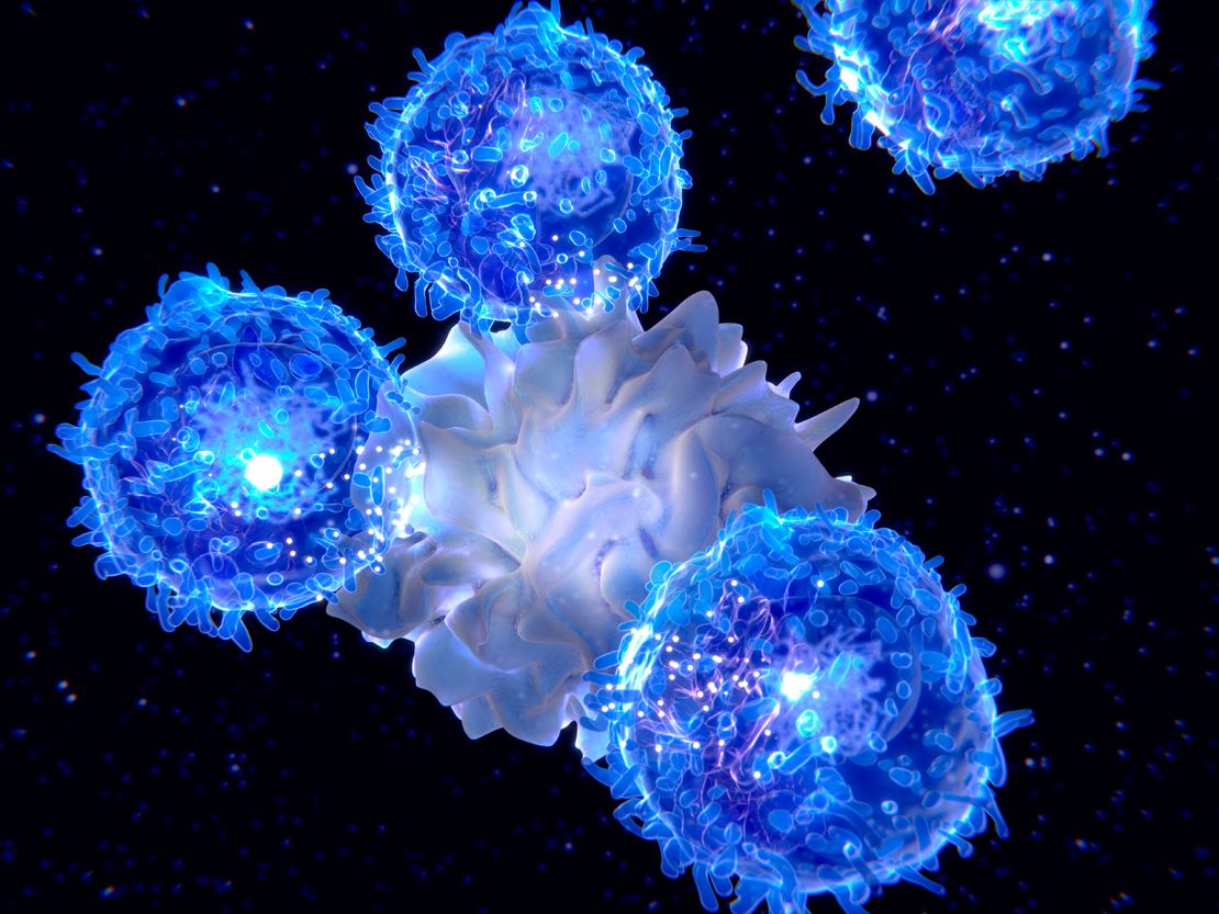 T-cells are activated by dendritic cells to effect an immune response.