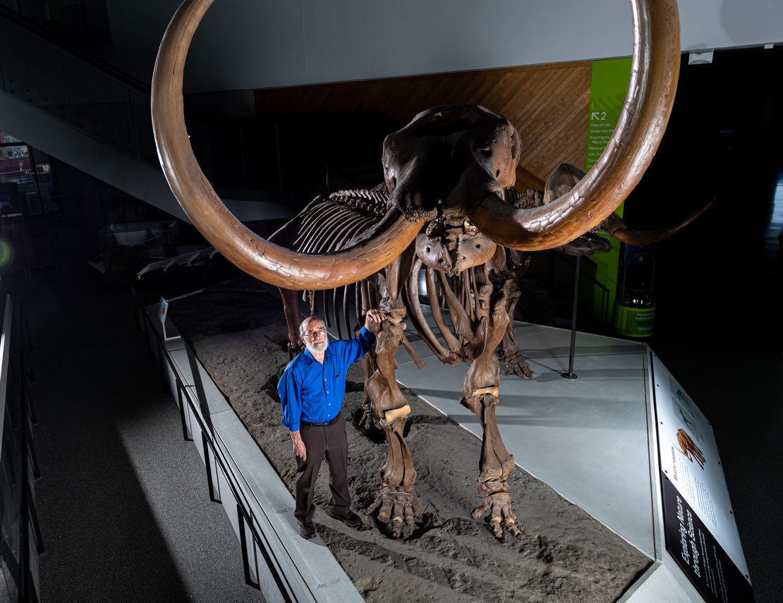 University of Michigan paleontologist Daniel Fisher stands with a mounted skeleton of the Buesching mastodon. Photo by Eric Bronson, Michigan Photography.