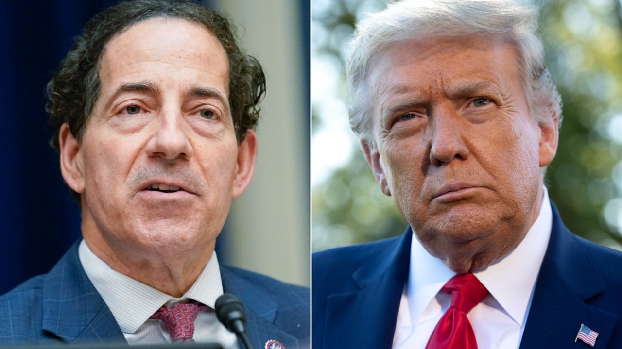 Jamie Raskin Donald Trump Split FILE