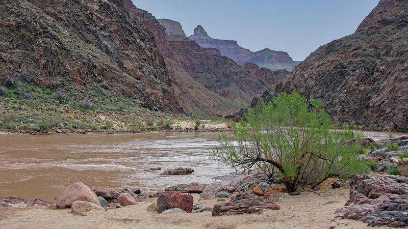 Chicago woman dies after falling into the Colorado River while on a commercial river trip NPS says – CNN