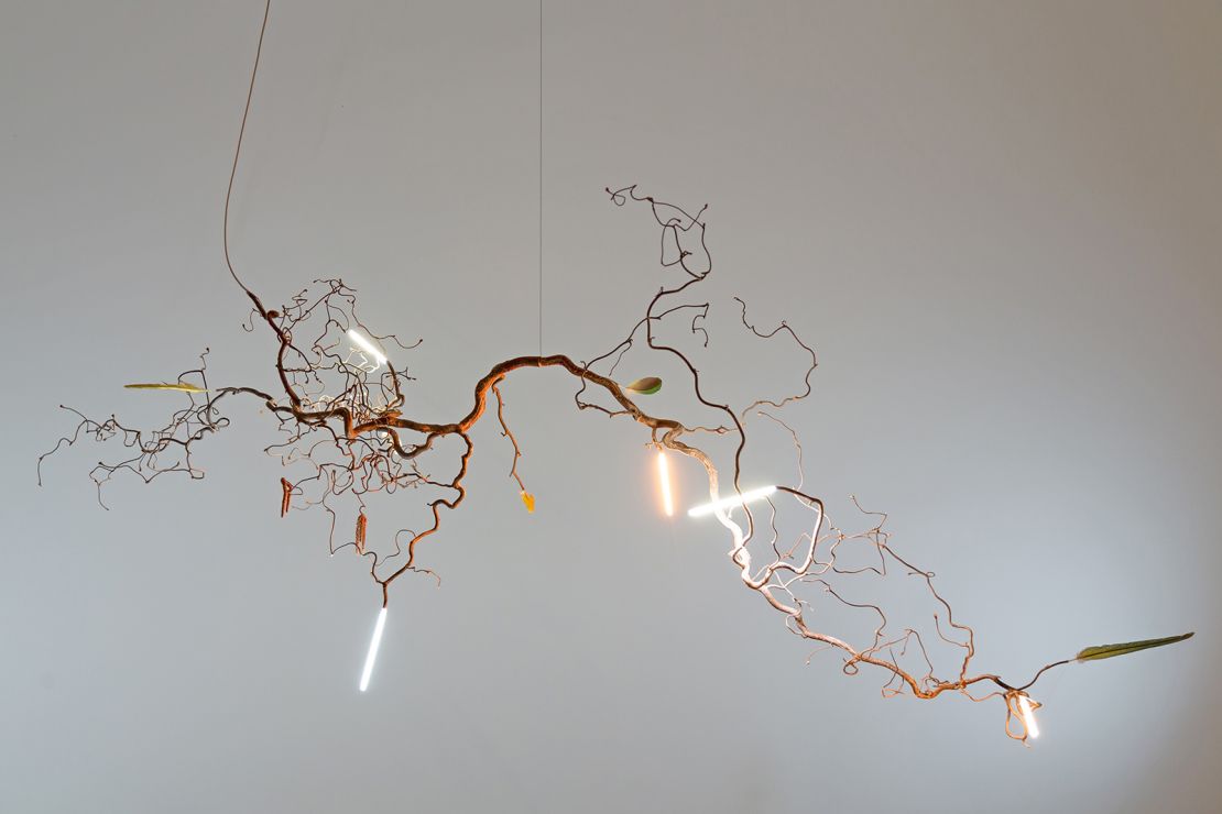 Designer Maximilian Marchesani took inspiration from nature in his branch-like light fittings.