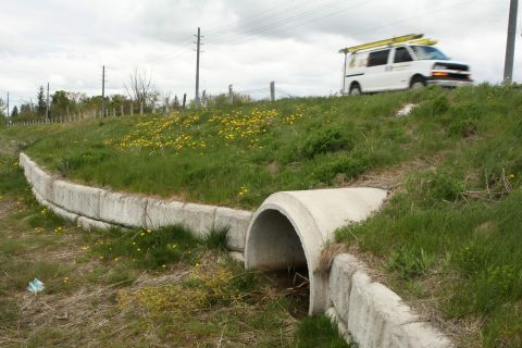 Salamanders thrive in Canada's dense forests, but roads often cut off their migration routes and crossing them can be fatal. This culvert outside Toronto has been set up to protect the amphibians. Similar crossings in Waterton Lakes National Park have been equipped with skylights to help salamanders navigate in the dark.