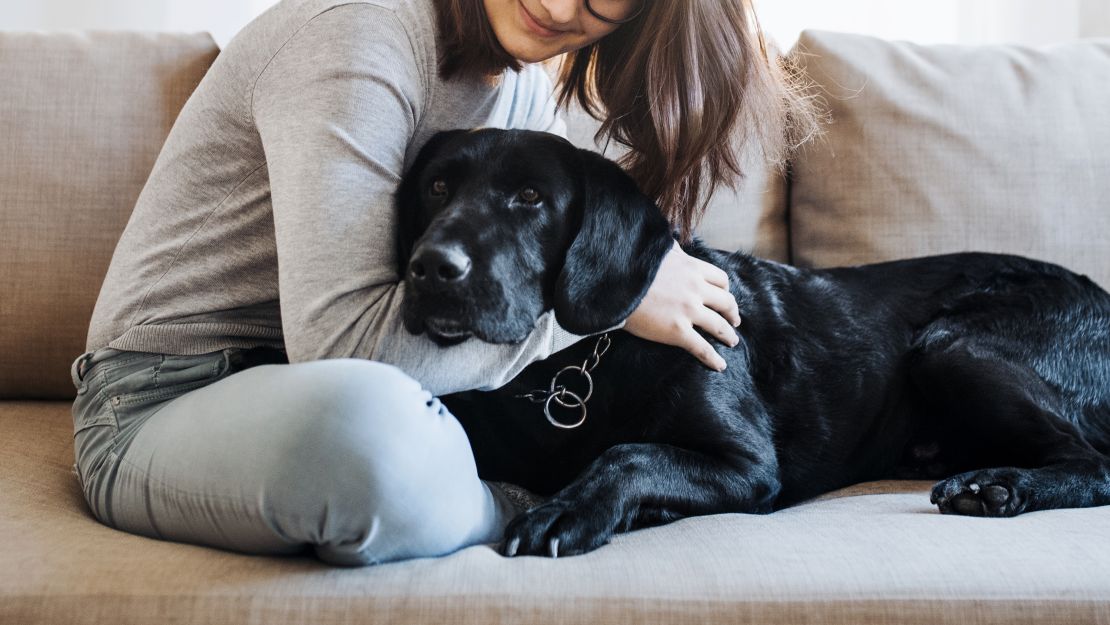 Having a four-legged member of the family can help with your microbiome diversity, experts say.