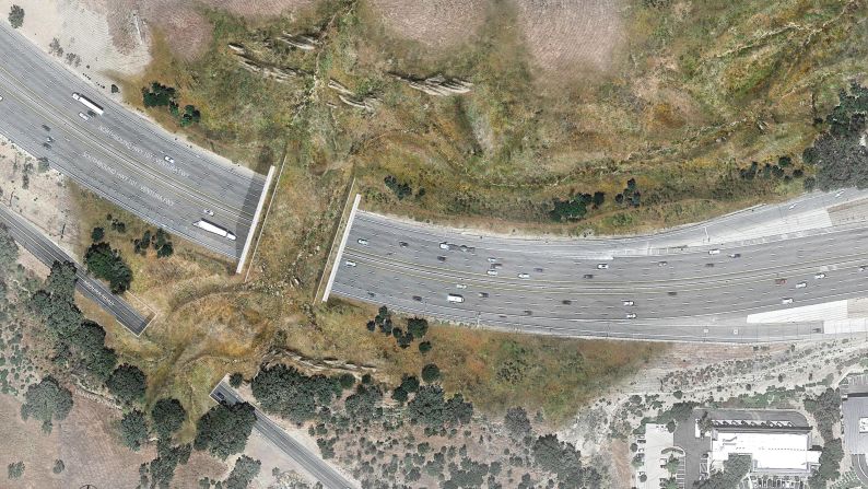 The $87 million Wallis Annenberg Wildlife Crossing, <a href="index.php?page=&url=https%3A%2F%2Fedition.cnn.com%2F2022%2F04%2F23%2Fus%2Fcalifornia-wildlife-crossing-scn-trnd%2Findex.html" target="_blank">slated to be the biggest in the world</a>, broke ground in Los Angeles in April 2022. Cougars and other animals will soon have a safe passageway across the 10 lanes of Highway 101, linking the Simi Hills with the Santa Monica Mountains.