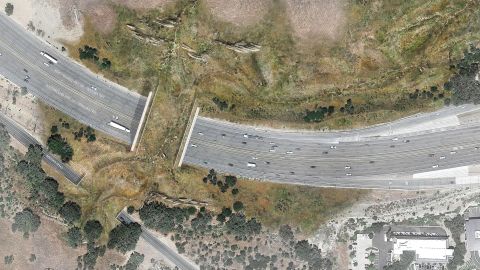 The $87 million Wallis Annenberg Wildlife Crossing, <a href="https://edition.cnn.com/2022/04/23/us/california-wildlife-crossing-scn-trnd/index.html" target="_blank">slated to be the biggest in the world</a>, broke ground in Los Angeles in April 2022. Cougars and other animals will soon have a safe passageway across the 10 lanes of Highway 101, linking the Simi Hills with the Santa Monica Mountains.