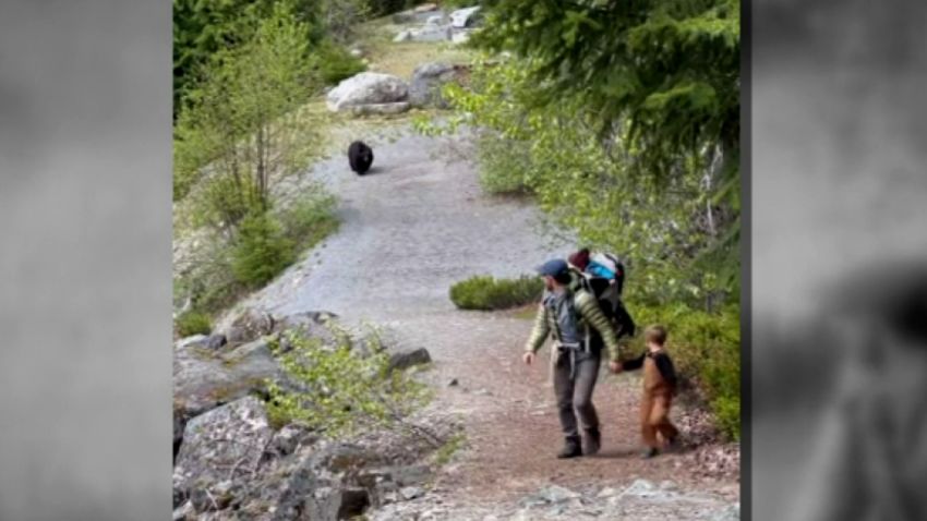 oh-s-see-moment-mom-spots-bear-following-her-family-cnn