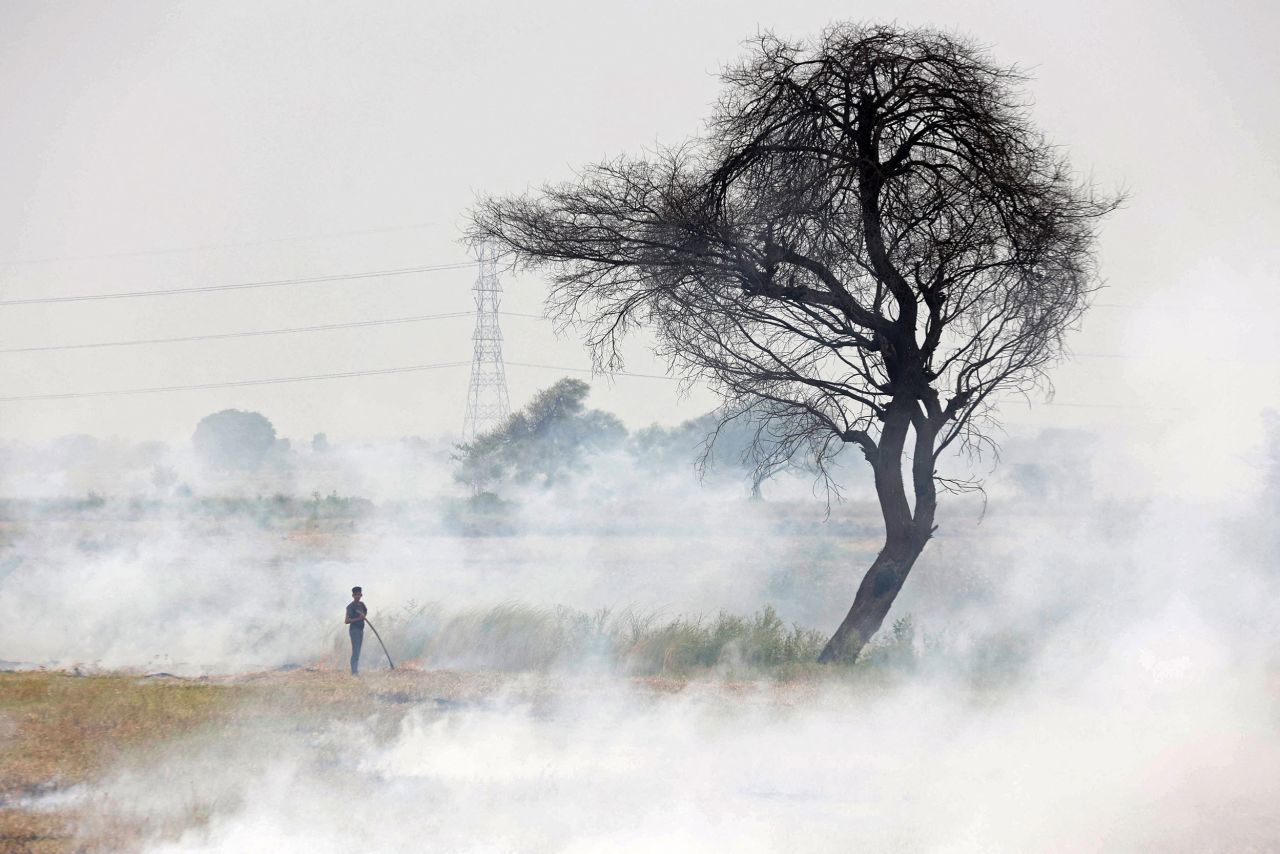 A worker burns stubble after harvesting pulse crops in India's Hoshangabad district on Sunday, June 12.