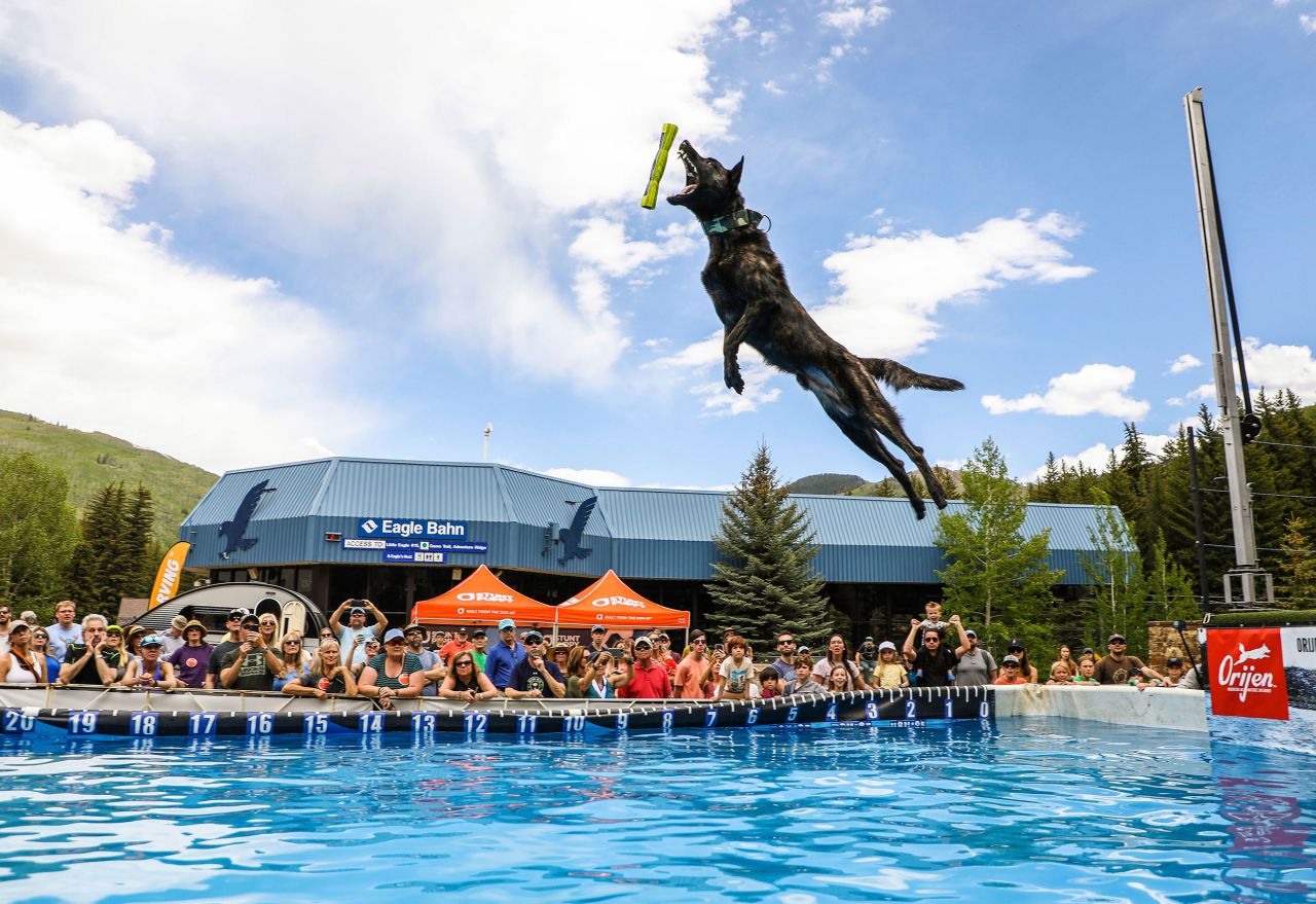 A Dutch shepherd named Bronn jumps 22 feet, 6 inches, during a big-air competition at the Mountain Games in Vail, Colorado, on Thursday, June 9.