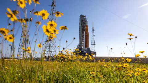 Měsíční raketa Artemis I od NASA je 6. června na startovací rampě obklopena divokými květy. 