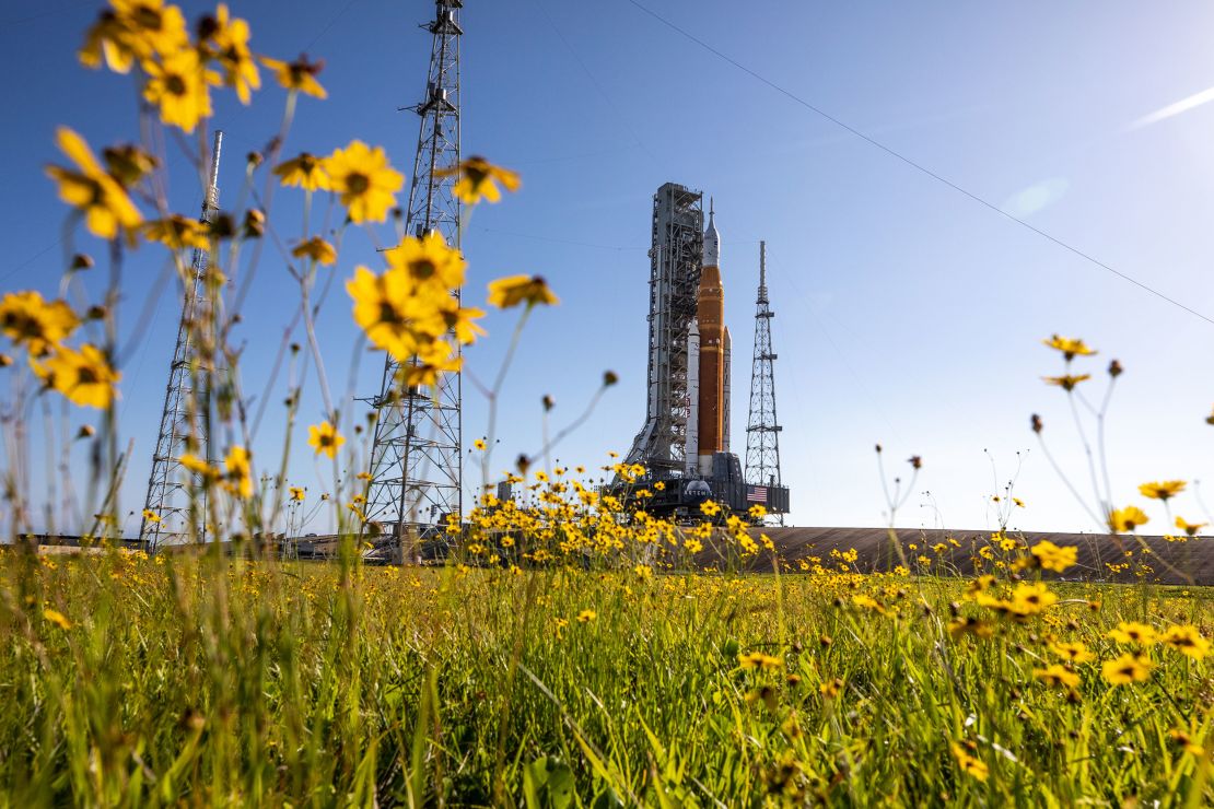 NASA's Artemis I moon rocket is surrounded by wildlflowers at the launchpad on June 6. 
