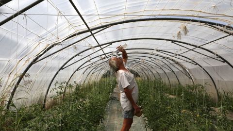 A farmer pours water on his face as he works in a greenhouse in southern France on June 17 as western Europe struggles with a heatwave. 