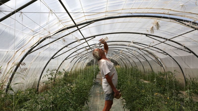 Heat wave: Western Europeans wilt in early summer, raising fears of climate change