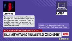 Is Artificial Intelligence getting too human for comfort?_00015210.png