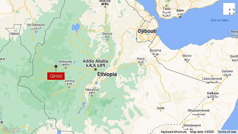 Ethiopia: At Least 200 Civilians, Mostly Amharas, Killed In Saturday ...