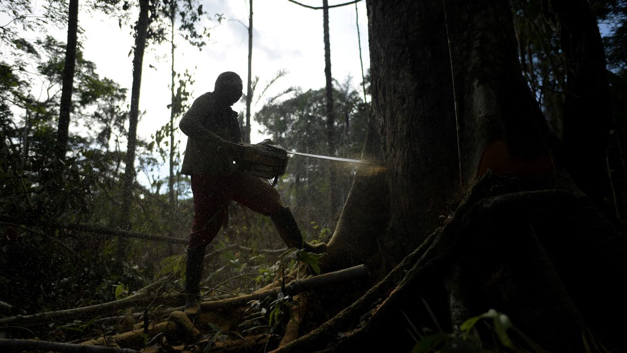 A man uses a chainsaw to clear trees in order to plant coca in the Guaviare department of Colombia.
