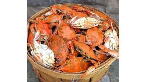 Cameron's Seafood Premium Large Female Maryland Crabs