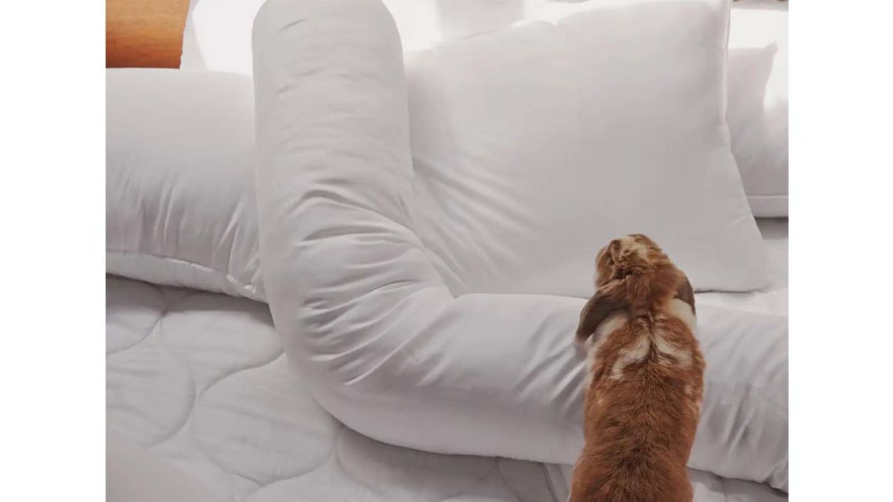 Buffy Wiggle Pillow