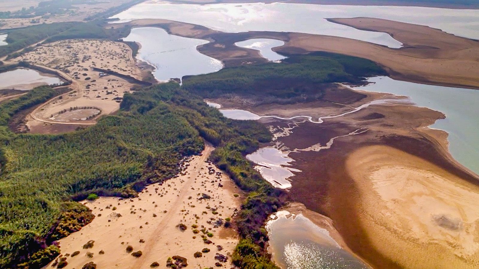 <strong>Water world:</strong> The <a href="https://cnn.com/videos/travel/2019/11/18/al-wathba-wetland-reserve-destination-abu-dhabi-lon-orig.cnn" target="_blank">Al Wathba Wetland Reserve</a>, also nearby, is a haven for wildlife and was supposedly created by accident after water was released from a nearby treatment plant. 