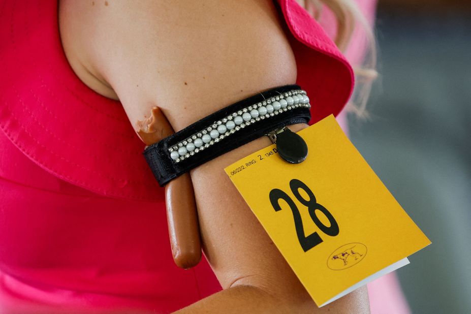 A handler attaches a hot dog to her arm as a snack for her dog.