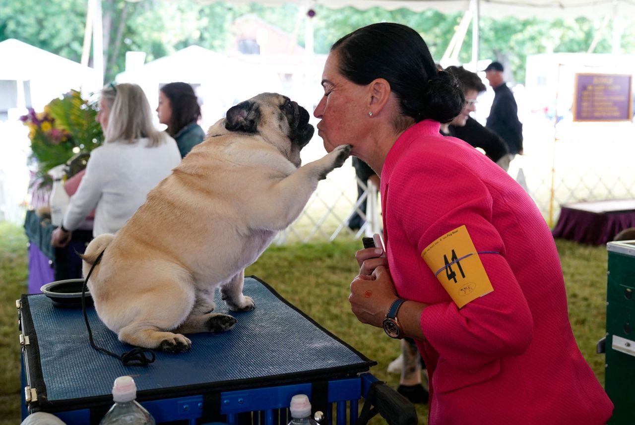 Natasha Cooper kisses her pug.