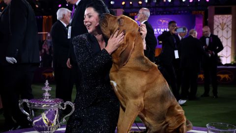 Trumpet, a Bloodhound, kisses his handler Heather Helmer after winning "Best in Show" at the 146th Westminster Kennel Club Dog Show at the Lyndhurst Estate in Tarrytown, New York, U.S., June 22, 2022. 
