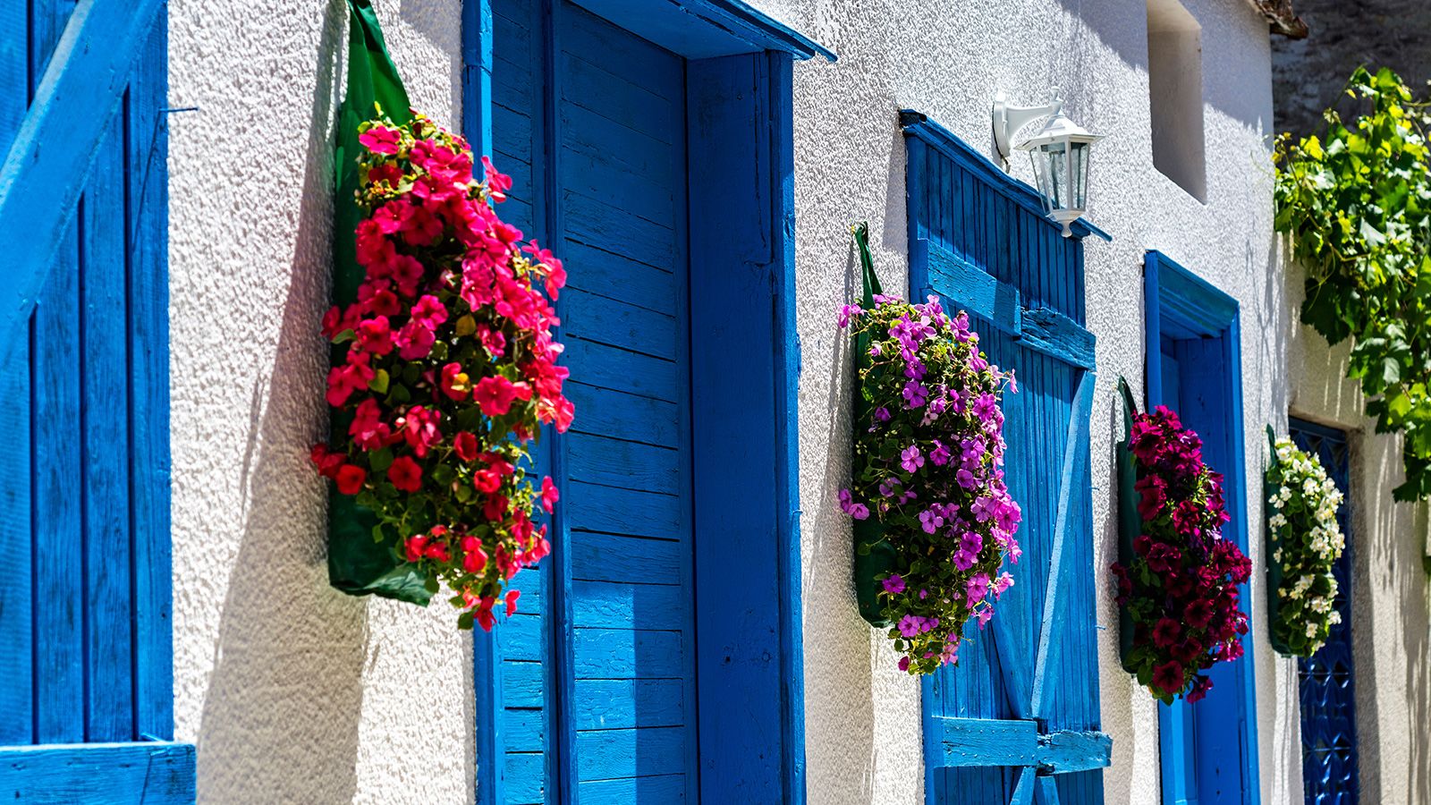 <strong>Colorful houses:</strong> Over the past 20 years, eagle-eyed visitors from around the country have snapped up holiday homes here, breathing new life into the town.