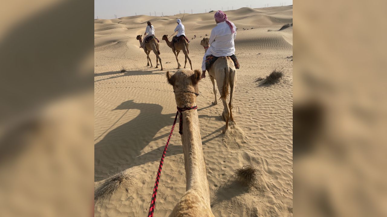 Krockenberger says camel riding isn't just a sport, but a meditative practice that requires riders to build relationships and trust with the animals in order to ride them.