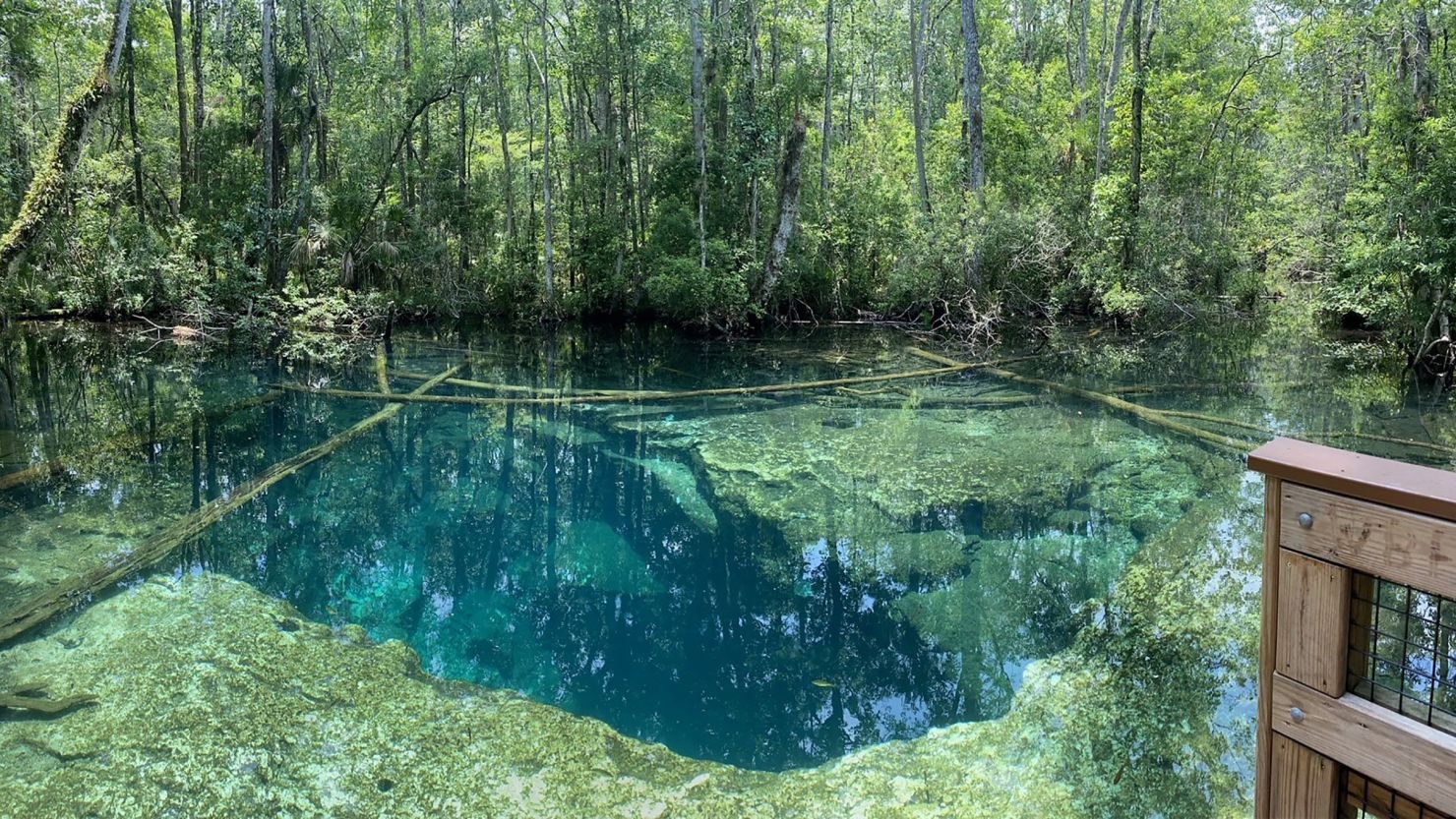 The Hernando County Sheriff's Office shared this photo of the area near the Buford Springs Cave where the two cave divers died.