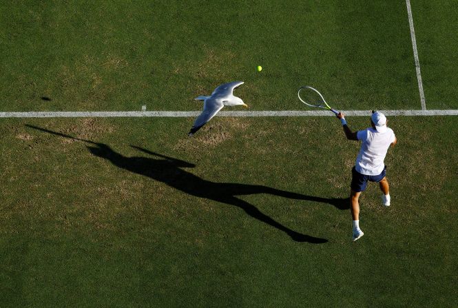 A bird flies over Britain's Ryan Peniston while he competes in a tennis match against Spain's Pedro Martinez in Eastbourne, England on Wednesday, June 22.
