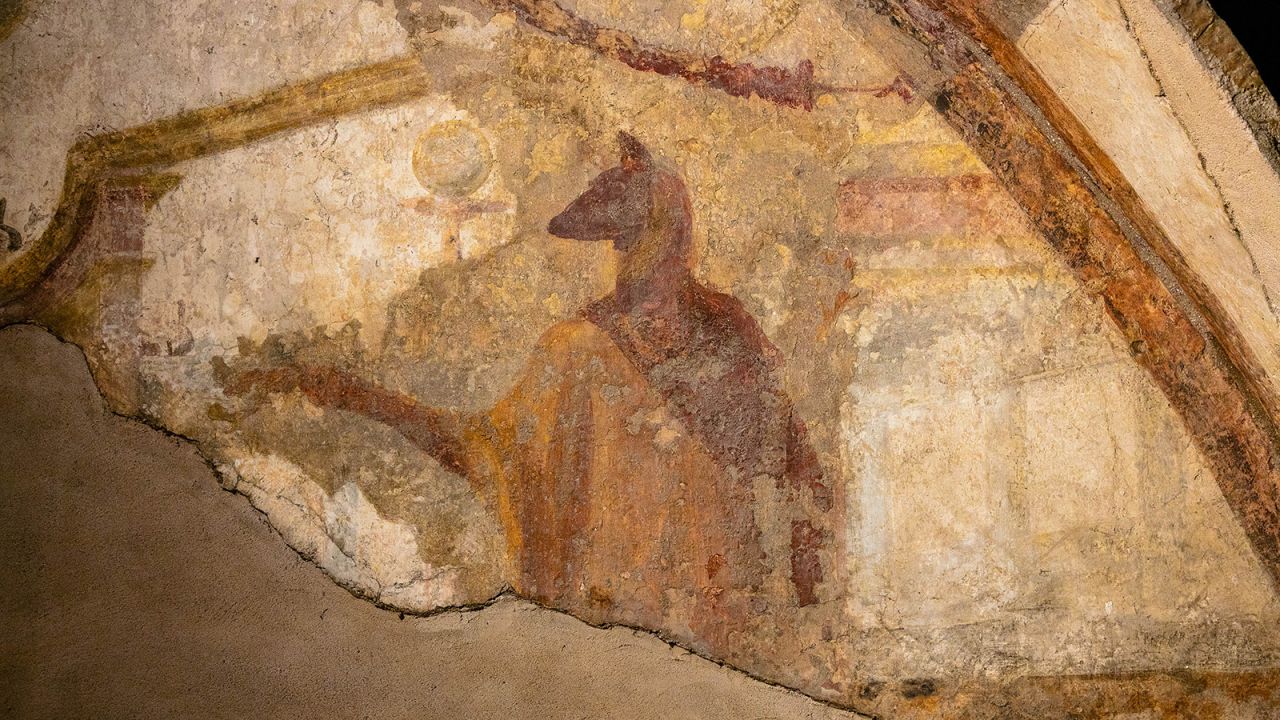 Anubis, the Egyptian god of death and the afterlife.