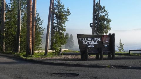 A man suffered an injury to his arm after being gored by a bull bison in Yellowstone National Park in Wyoming.